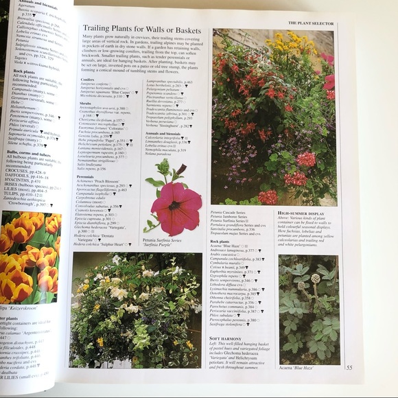 New Encyclopedia of Plants and Flowers The Royal Horticultural Society Book - Picture 6 of 13